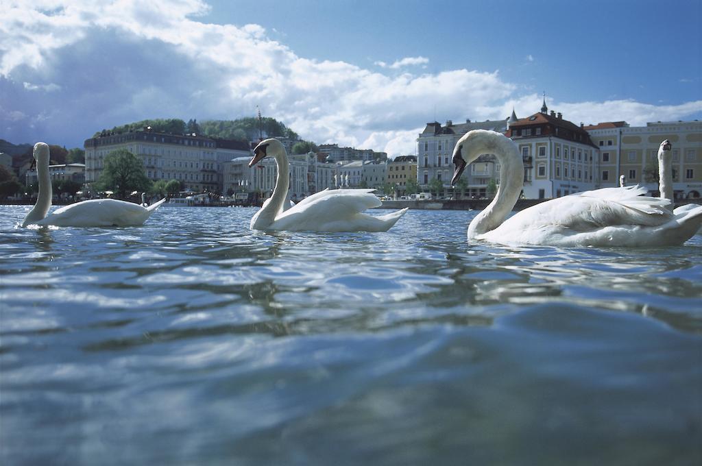 Landhotel Gruenberg Am See Gmunden Exterior photo